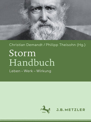 cover image of Storm-Handbuch